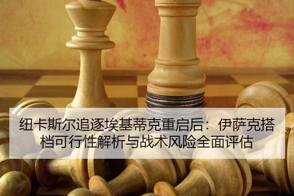 纽卡斯尔追逐埃基蒂克重启后：伊萨克搭档可行性解析与战术风险全面评估